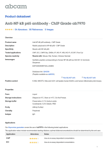 Anti-NF-kB p65 antibody - ChIP Grade ab7970 Product datasheet 54 Abreviews 9 Images