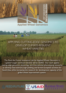 APPLYING CUTTING-EDGE GENOMICS TO DEVELOP CLIMATE-RESILIENT WHEAT VARIETIES