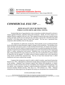 COMMERCIAL EGG TIP . . . Cooperative Extension Service