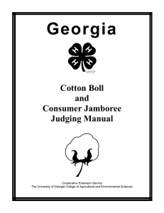 Georgia Cotton Boll and Consumer Jamboree