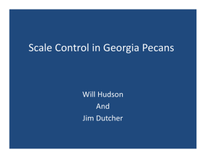 Scale Control in Georgia Pecans Will Hudson  And Jim Dutcher
