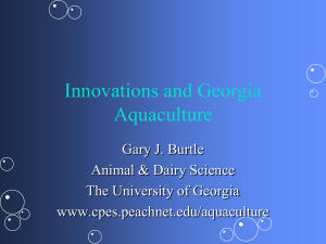 Innovations and Georgia Aquaculture Gary J. Burtle Animal &amp; Dairy Science