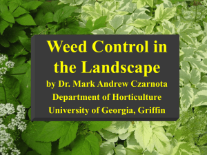 Weed Control in the Landscape by Dr. Mark Andrew Czarnota Department of Horticulture