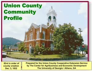 Union County Community Profile