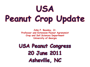 John P. Beasley, Jr. Professor and Extension Peanut Agronomist University of Georgia