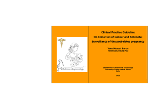 Clinical Practice Guideline On Induction of Labour and Antenatal