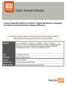 Context Dependent Effects of Chimeric Peptide Morpholino Conjugates
