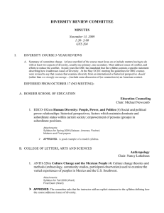 DIVERSITY REVIEW COMMITTEE  MINUTES November 13, 2009