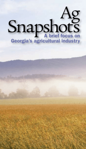 A brief focus on Georgia’s agricultural industry