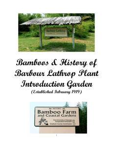 Bamboos &amp; History of Barbour Lathrop Plant Introduction Garden