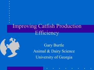 Improving Catfish Production Efficiency Gary Burtle Animal &amp; Dairy Science