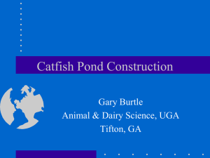 Catfish Pond Construction Gary Burtle Animal &amp; Dairy Science, UGA Tifton, GA