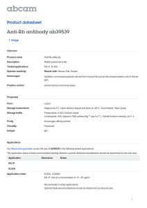 Anti-Rb antibody ab39539 Product datasheet 1 Image Overview