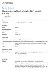 Human gamma H2A.X (phospho S139) peptide ab15645 Product datasheet 1 References