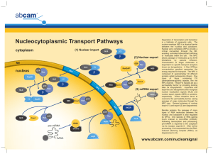 Nucleocytoplasmic Transport Pathways