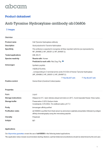 Anti-Tyrosine Hydroxylase antibody ab106806 Product datasheet 3 Images Overview