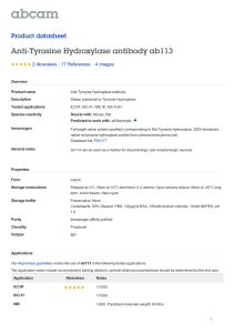 Anti-Tyrosine Hydroxylase antibody ab113 Product datasheet 2 Abreviews 4 Images