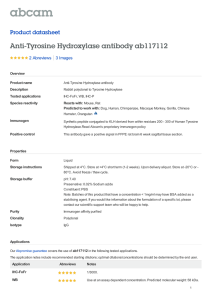 Anti-Tyrosine Hydroxylase antibody ab117112 Product datasheet 2 Abreviews 3 Images