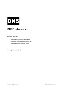 DNS DNS Fundamentals Goals of this lab:
