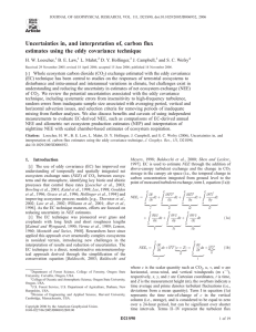 Uncertainties in, and interpretation of, carbon flux