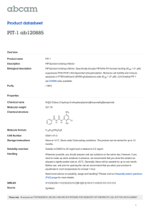 PIT-1 ab120885 Product datasheet Overview Product name