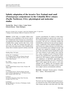 Salinity adaptation of the invasive New Zealand mud snail