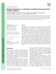 Bacterial dominance in subseafloor sediments characterized by methane hydrates