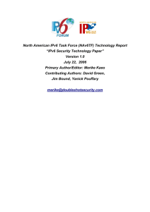 North American IPv6 Task Force (NAv6TF) Technology Report Version 1.0