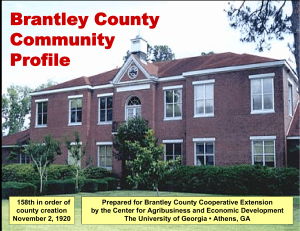 Brantley County Community Profile