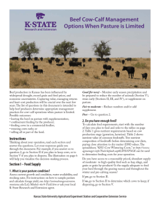 Beef Cow-Calf Management Options When Pasture is Limited