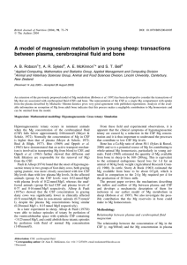 A model of magnesium metabolism in young sheep: transactions