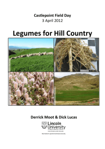 Legumes for Hill Country Castlepoint Field Day Derrick Moot &amp; Dick Lucas