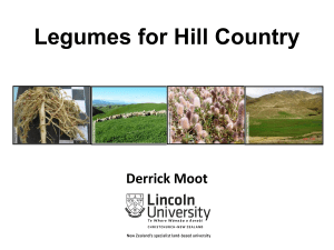 Legumes for Hill Country Derrick Moot