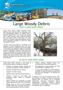 Large Woody Debris WHAT IS LARGE WOODY DEBRIS?