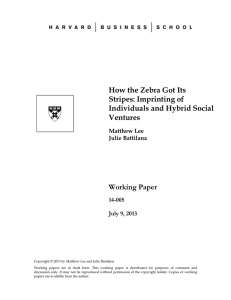How the Zebra Got Its Stripes: Imprinting of Individuals and Hybrid Social Ventures