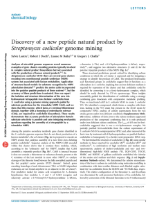 Discovery of a new peptide natural product by Sylvie Lautru