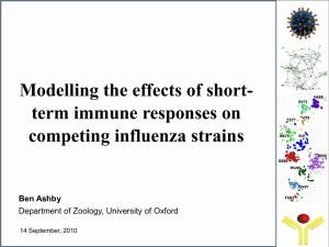 Modelling the effects of short- term immune responses on competing influenza strains