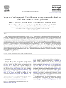 Impacts of anthropogenic N additions on nitrogen mineralization from