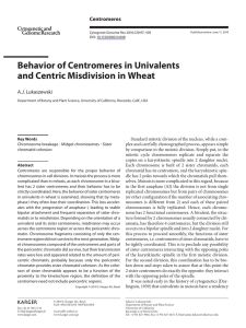Behavior of Centromeres in Univalents and Centric Misdivision in Wheat Centromeres A.J. Lukaszewski 