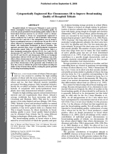 Cytogenetically Engineered Rye Chromosomes 1R to Improve Bread-making