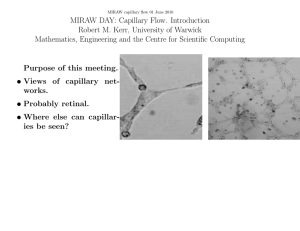 MIRAW DAY: Capillary Flow. Introduction Robert M. Kerr, University of Warwick