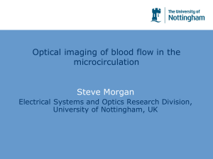 Optical imaging of blood flow in the microcirculation Steve Morgan