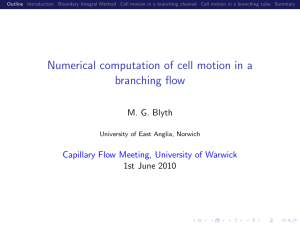 Numerical computation of cell motion in a branching flow M. G. Blyth