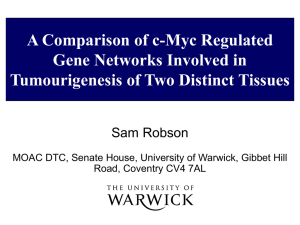 A Comparison of c-Myc Regulated Gene Networks Involved in Sam Robson