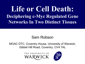 Life or Cell Death: c M o