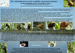 The  relationship between fruit availability and primate abundance