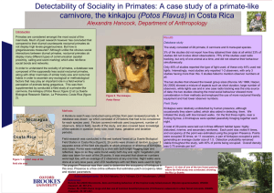 Introduction Results Primates are considered amongst the most social of the