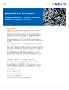 Wireless WAN for the Smart Grid Introduction