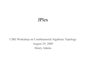 JPlex CSRI Workshop on Combinatorial Algebraic Topology August 29, 2009 Henry Adams