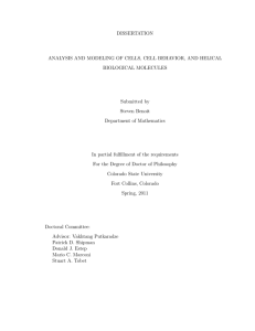 DISSERTATION ANALYSIS AND MODELING OF CELLS, CELL BEHAVIOR, AND HELICAL BIOLOGICAL MOLECULES